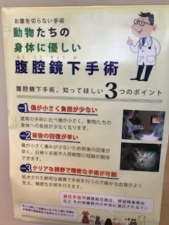 腹腔鏡下避妊手術　