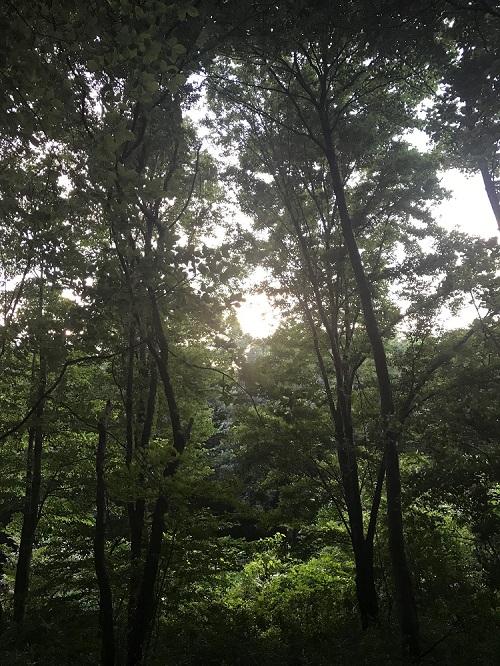 ６月に梅雨明け⁉　＆　恒例の夏のイベント始動！