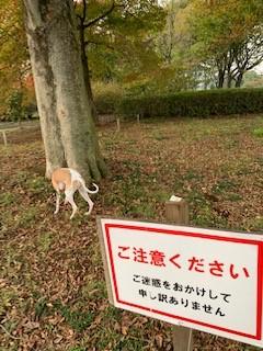 智光山公園